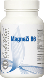 MagneZi B6